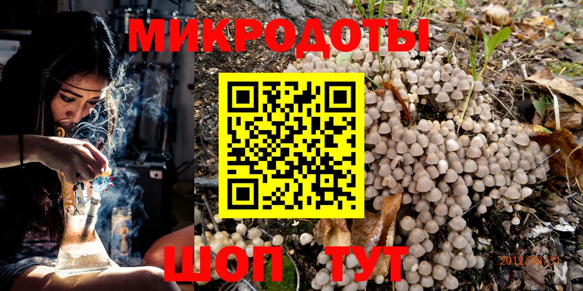 Галлюциногенные грибы Psilocybine cubensis Красноярск