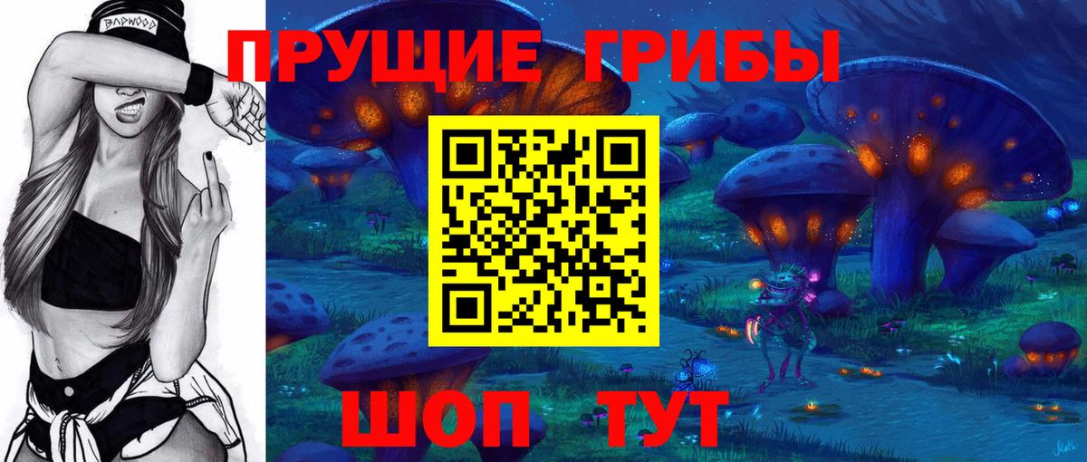 Красноярск  Галлюциногенные грибы прущие грибы  Вход с VPN 